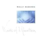 Words Of A Mountain - Wally Badarou