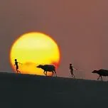 Tuyển tập những ca kh&uacute;c nhạc trữ t&igrave;nh