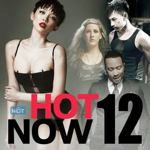 Hot Now No.12 - V.A