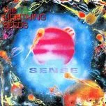 Ca nhạc Sense - The Lightning Seeds
