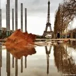 Tuyển Tập Những Bài Nhạc Pháp Hay Nhất