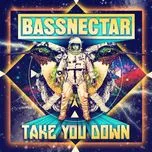 Ca nhạc Take You Down (EP 2013) - Bassnectar