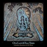 Our Lady Of The Tall Trees