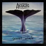 Nghe nhạc Secret Whale - Alavala