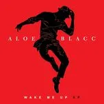 Nghe và tải nhạc Mp3 Wake Me Up (EP 2013) về máy