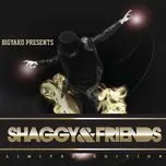 Nghe nhạc Shaggy & Friends - Shaggy