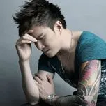 Tuyển Tập Ca Khúc Hay Nhất Của Lâm Chấn Huy