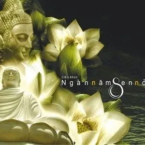 Nghe nhạc Ngàn Năm Sen Nở (Ca Khúc Phật Giáo) Mp3