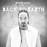 Back To Earth (Remixes Single) - Steve Aoki, Fall Out Boy