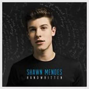 A Little Too Much (Album Version) (Single) - Shawn Mendes