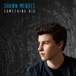 Nghe ca nhạc Something Big (Single) - Shawn Mendes