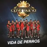 Vida De Perros (Single) - La Bandononona Clave Nueva De Max Peraza