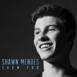 Nghe nhạc Show You (Single) - Shawn Mendes