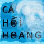 C&aacute; Hồi Hoang Collection