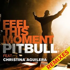 Feel This Moment (Remixes EP) - Pitbull, Christina Aguilera