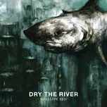 Nghe nhạc Shallow Bed (Deluxe Version) - Dry The River