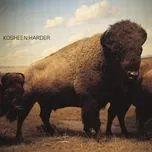 Nghe nhạc Harder (Remixes) - Kosheen