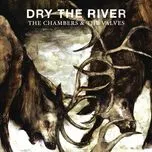 The Chambers & The Valves (Single) - Dry The River