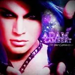 For Your Entertainment (Single) - Adam Lambert