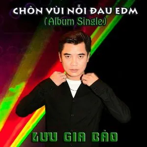 Chôn Vùi Nỗi Đau EDM (Single) - Lưu Gia Bảo