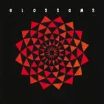 Download nhạc hot Blown Rose (Boxed In Remix) (Single) Mp3 miễn phí về máy