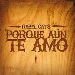 Tải nhạc Porque Aun Te Amo (Single) về máy