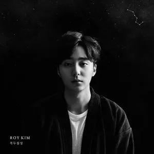 The Great Dipper - Roy Kim