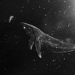 Sing For You (Mini Album)