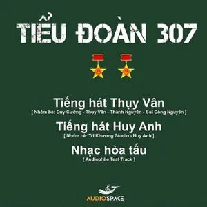 Tiểu Đoàn 307 (Single) - Thụy Vân, Huy Anh, Hòa Tấu