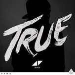 Nghe ca nhạc True - Avicii