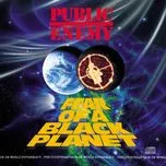 Fear Of A Black Planet - Public Enemy