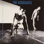 Ca nhạc The Affectionate Punch - The Associates
