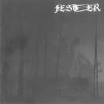 Nghe ca nhạc Silence - Fester