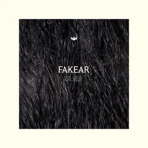 Silver (Single) - Fakear, Rae Morris