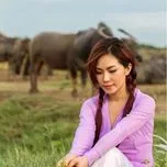 GI&Oacute; CHIỀU MIỀN T&Acirc;Y ( TRỮ T&Igrave;NH )