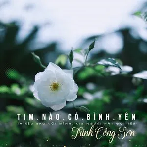 Tim Nào Có Bình Yên - Trịnh Công Sơn, V.A