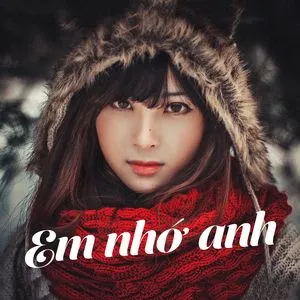 Em Nhớ Anh - V.A