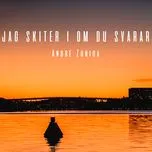 Tải nhạc Mp3 Jag Skiter I Om Du Svarar (Single) online