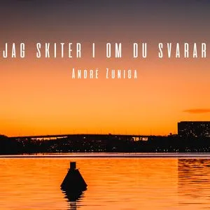 Jag Skiter I Om Du Svarar (Single) - Andre Zuniga