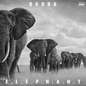 E.L.E.P.H.A.N.T (Single) - Booba