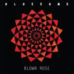 Nghe nhạc hay Blown Rose (Single) Mp3