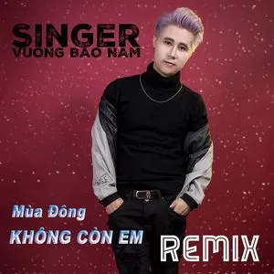 Mùa Đông Không Còn Em Remix (Single) - Vương Bảo Nam