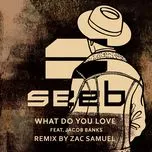What Do You Love (Zac Samuel Remix) (Single) - Seeb, Jacob Banks