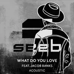 What Do You Love (Acoustic) (Single) - Seeb, Jacob Banks