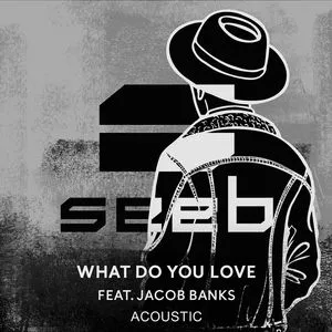 What Do You Love (Acoustic) (Single) - Seeb, Jacob Banks