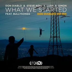 What We Started (Single) - Steve Aoki, Don Diablo, Lush & Simon