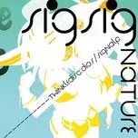 SigSignature