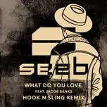 Ca nhạc What Do You Love (Hook N Sling Remix) (Single) - Seeb, Jacob Banks