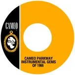 Nghe và tải nhạc hay Cameo Parkway Instrumental Gems Of 1966 Mp3 về điện thoại