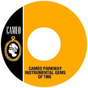 Cameo Parkway Instrumental Gems Of 1966 - V.A